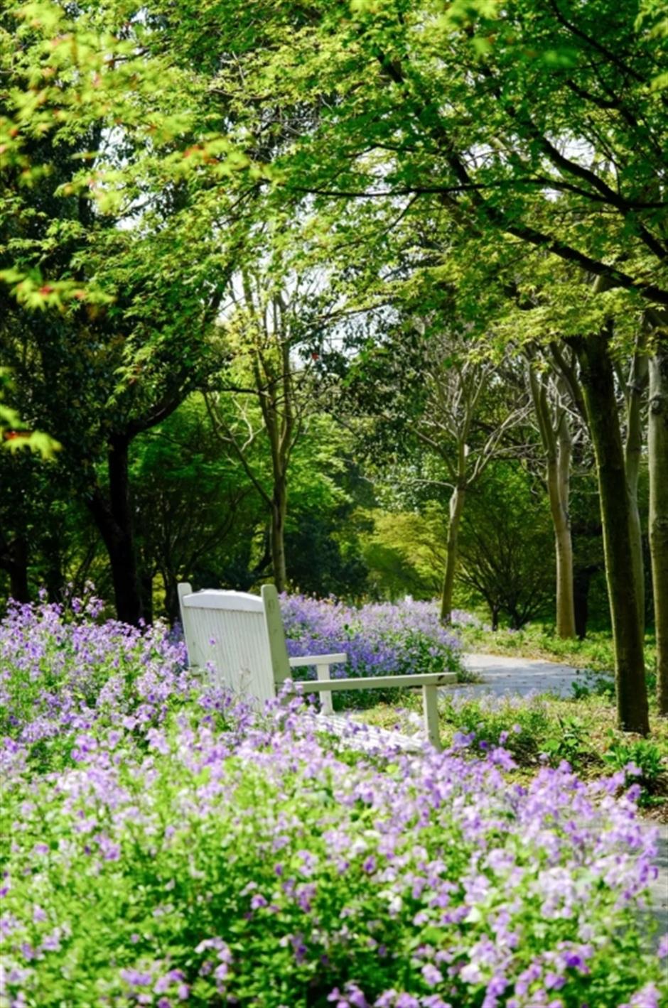 一眼清涼!「夏」一站,躍入郊野古鎮