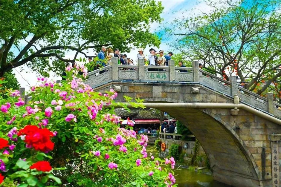 一眼清涼!「夏」一站,躍入郊野古鎮