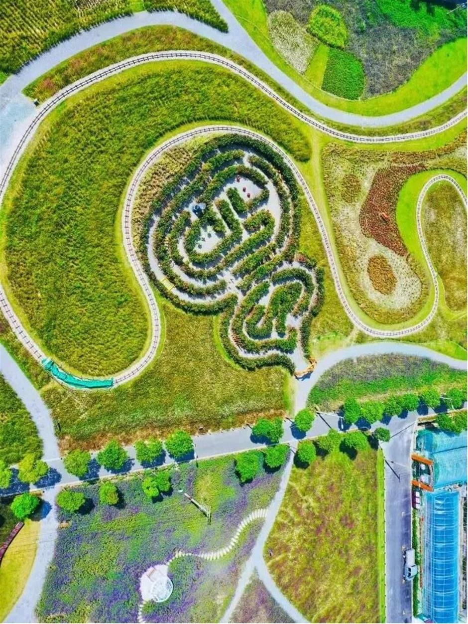 在北上海,开启一场夏日之约