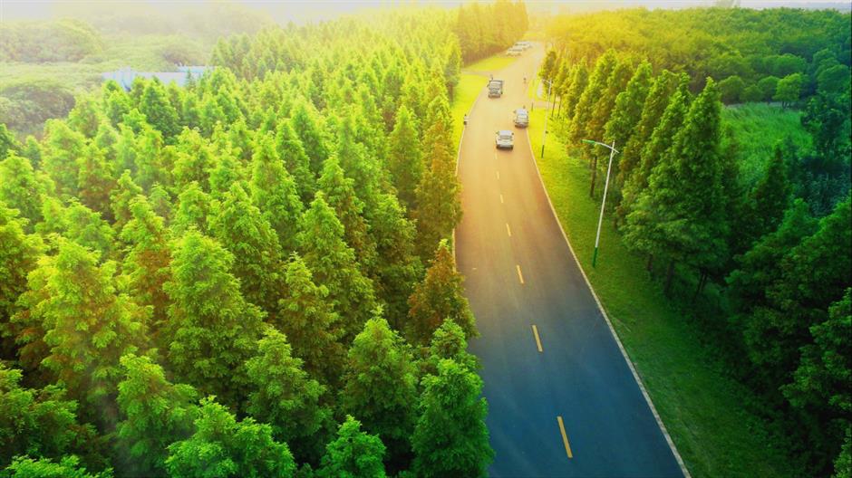 在北上海,开启一场夏日之约