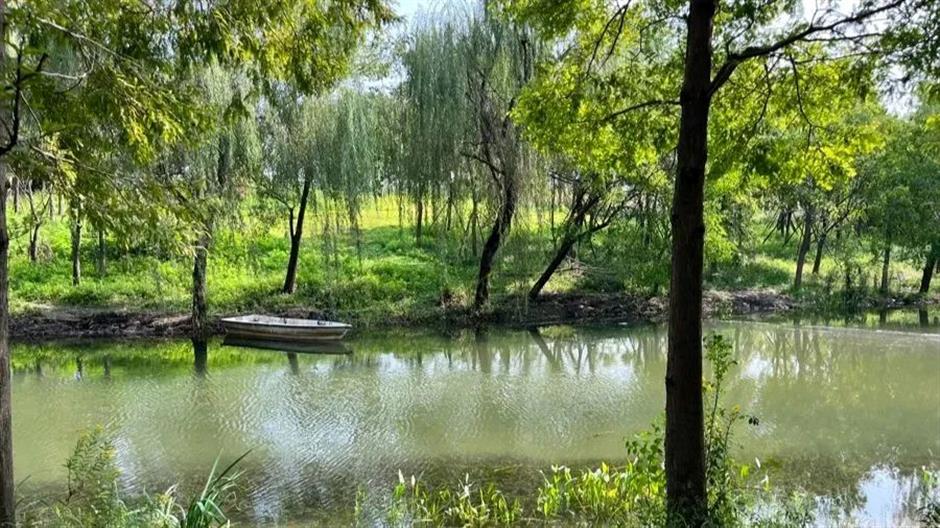 在北上海,开启一场夏日之约