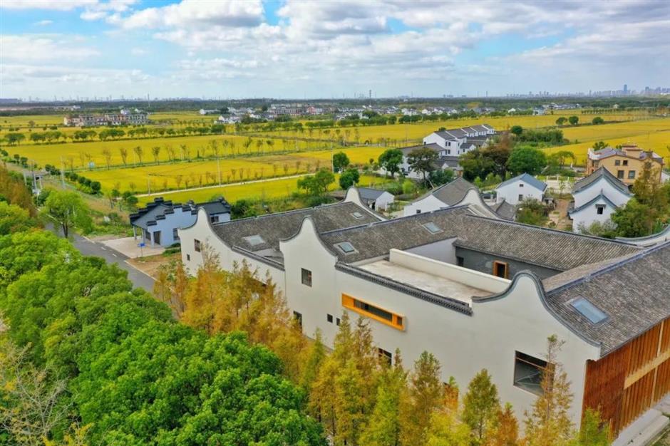 5大主题旅游,带你玩转上海南郊