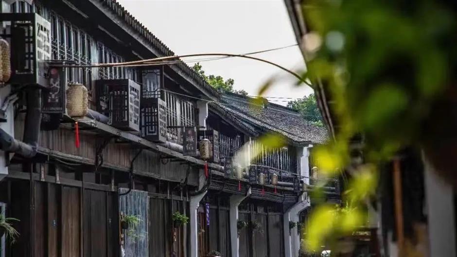 5大主题旅游,带你玩转上海南郊