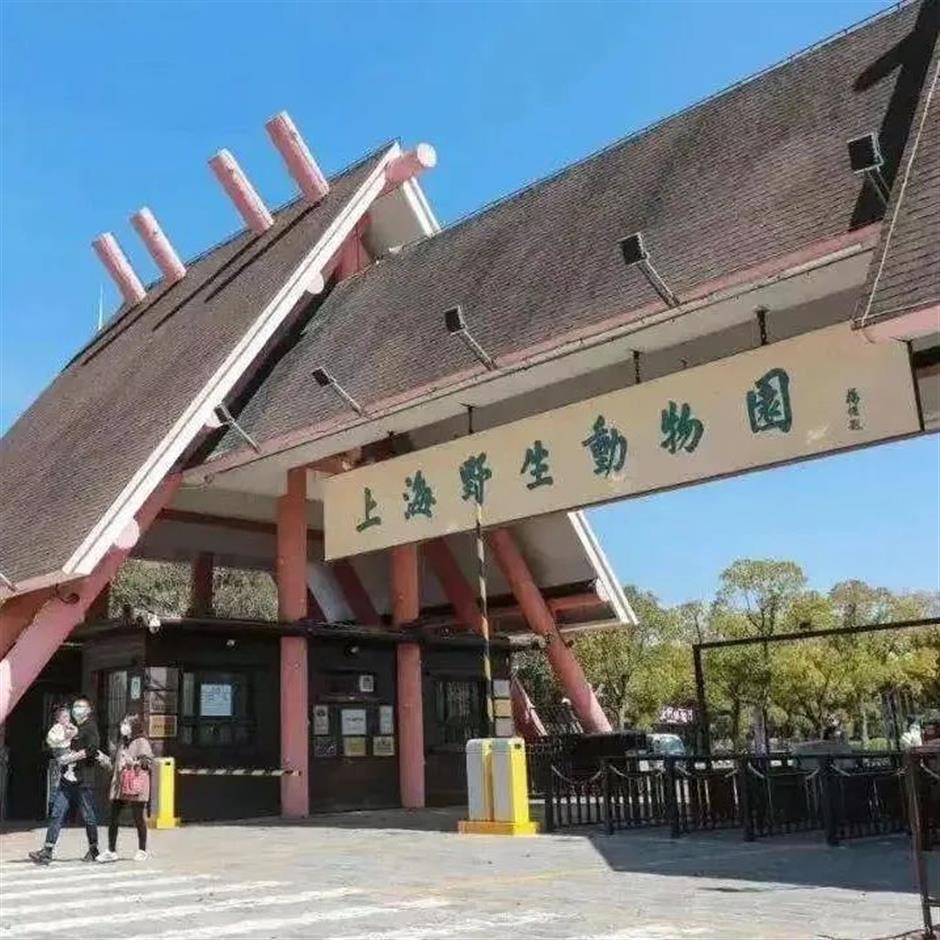 便民!上海232家文旅场所提供行李寄存服务!|乐游上海 行李无忧