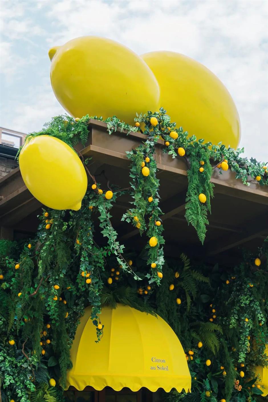 绝佳的浪漫小镇,居然就在上海市中心→