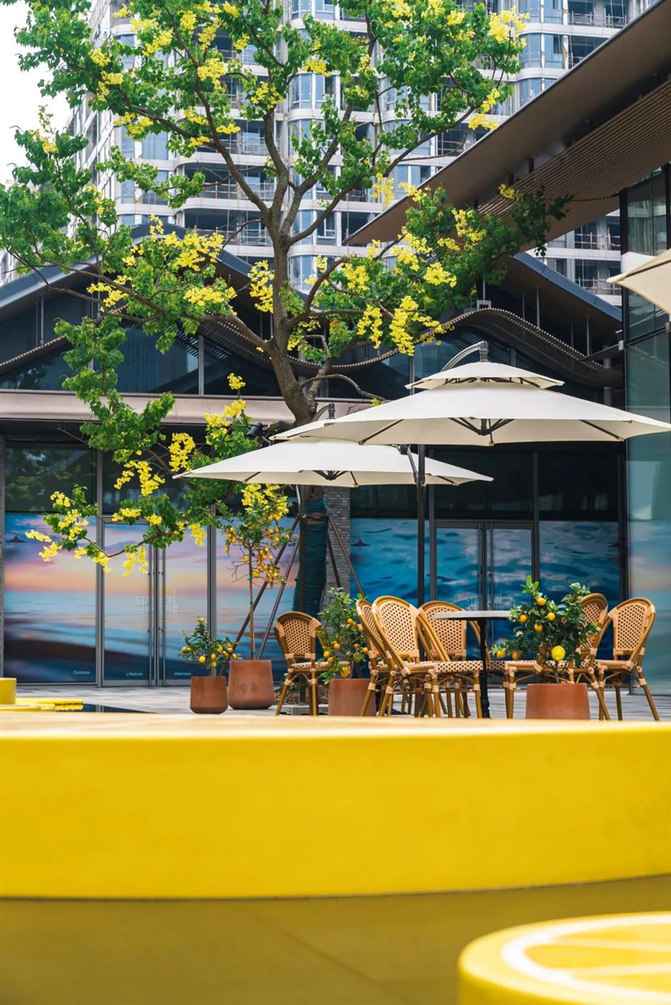 绝佳的浪漫小镇,居然就在上海市中心→