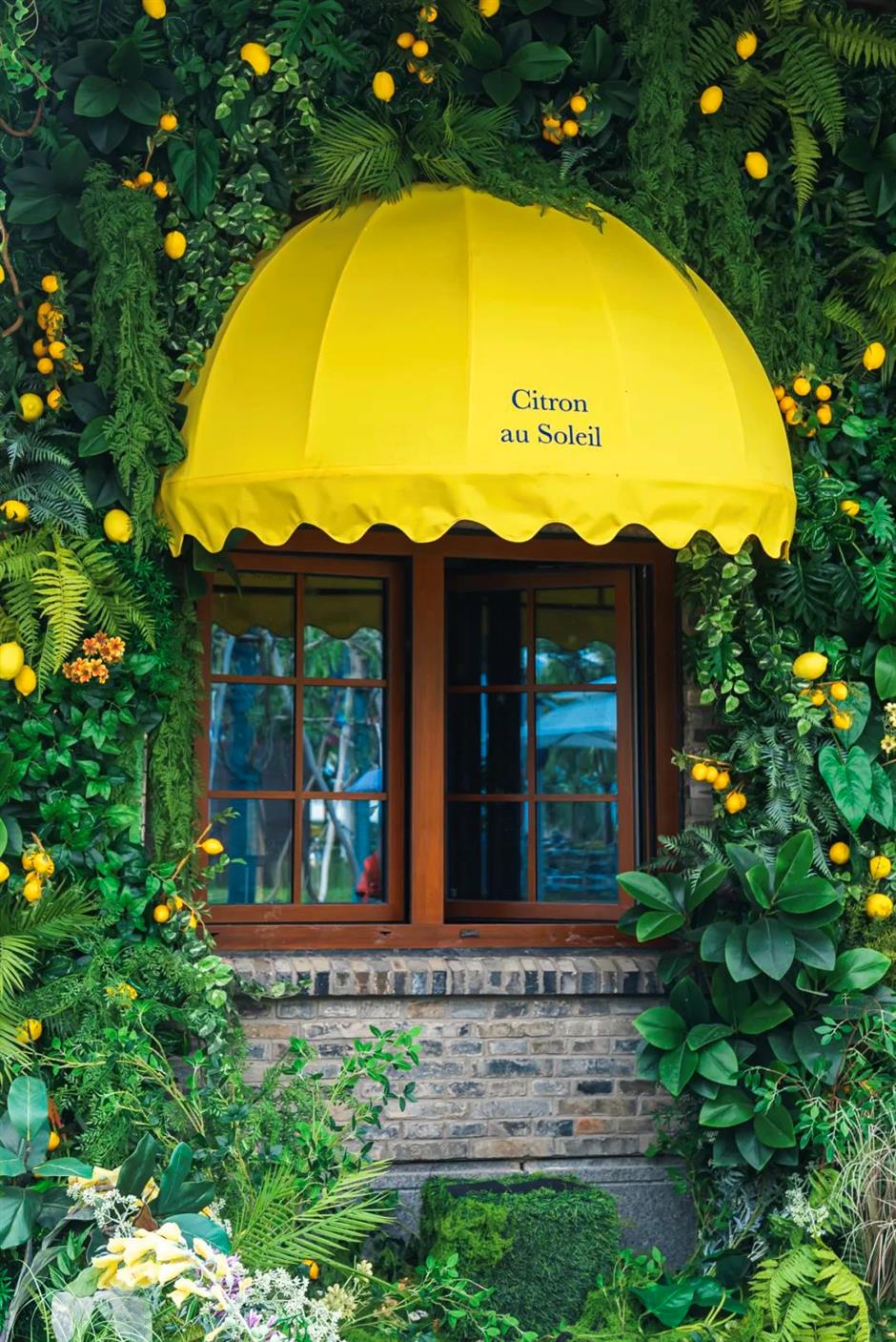 绝佳的浪漫小镇,居然就在上海市中心→