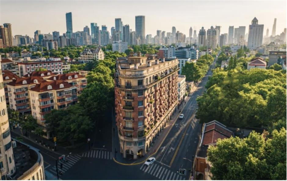 上海市中心這盆荷花一定是下一個爆火機位!