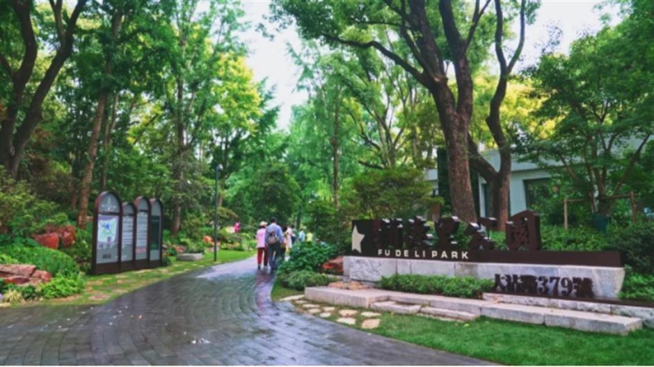 上海市中心也有山湖秀美!满目绿意带来夏日清凉~