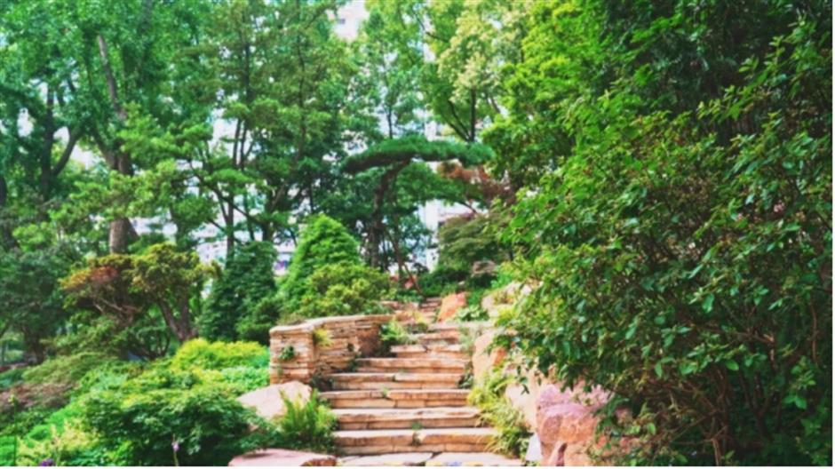 上海市中心也有山湖秀美!满目绿意带来夏日清凉~