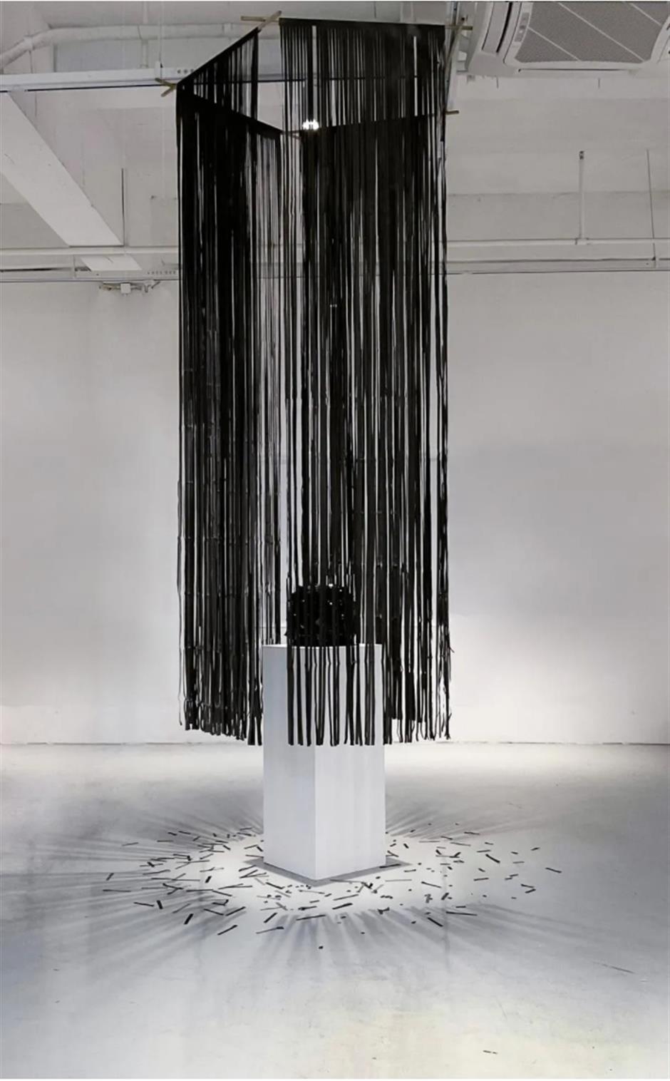 上海市中心這盆荷花一定是下一個爆火機位!