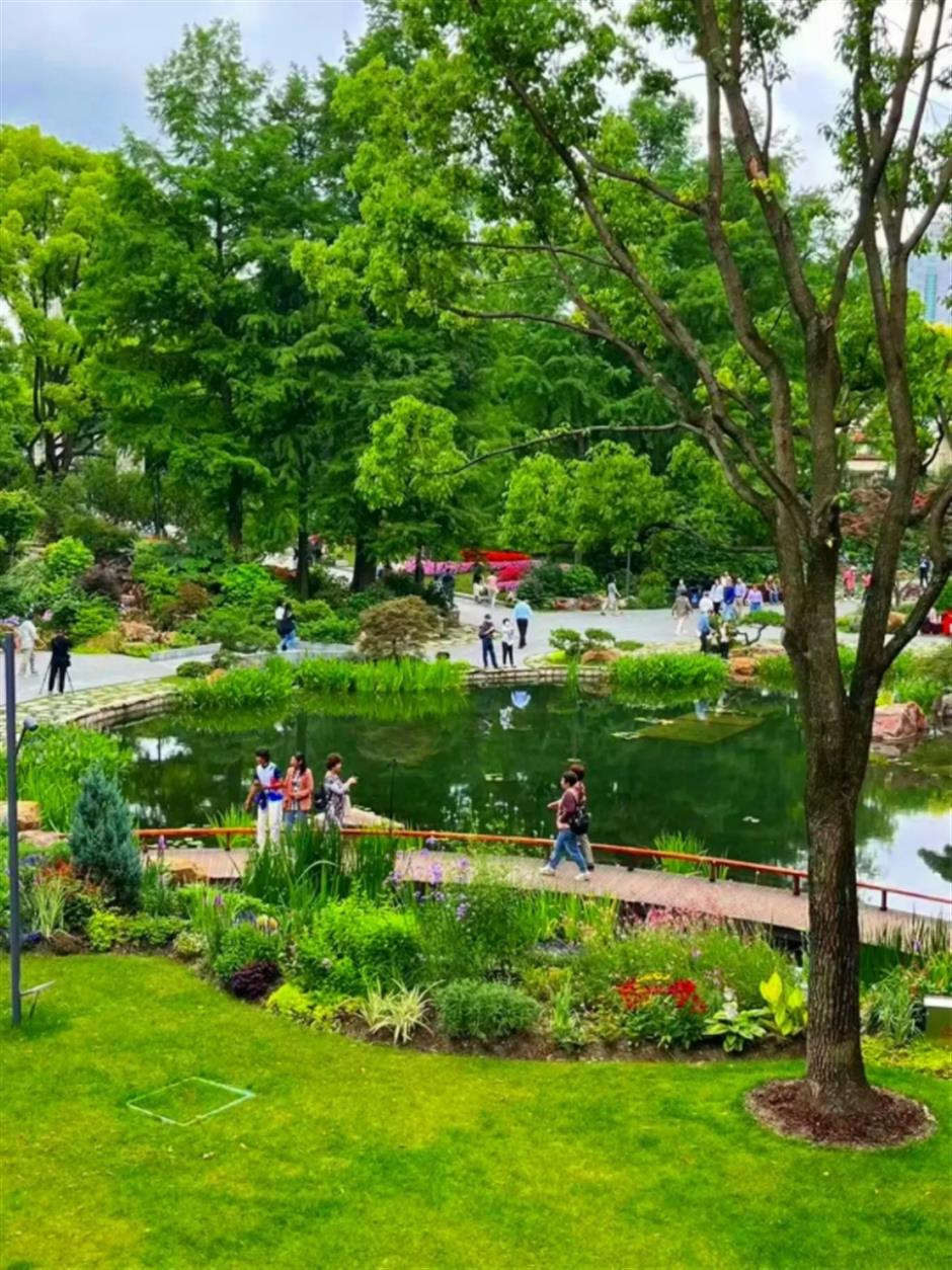 上海市中心也有山湖秀美!满目绿意带来夏日清凉~