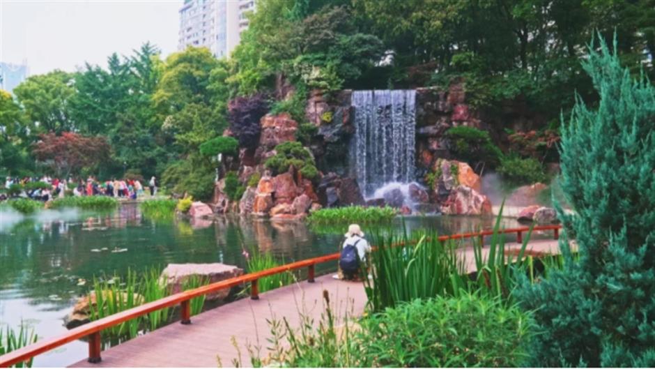 上海市中心也有山湖秀美!满目绿意带来夏日清凉~