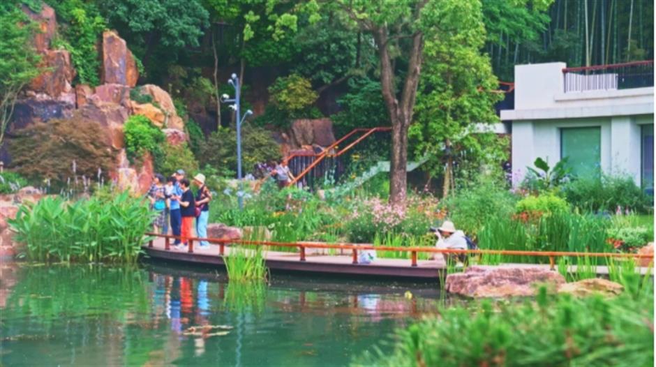 上海市中心也有山湖秀美!满目绿意带来夏日清凉~