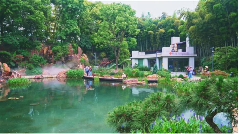 上海市中心也有山湖秀美!满目绿意带来夏日清凉~