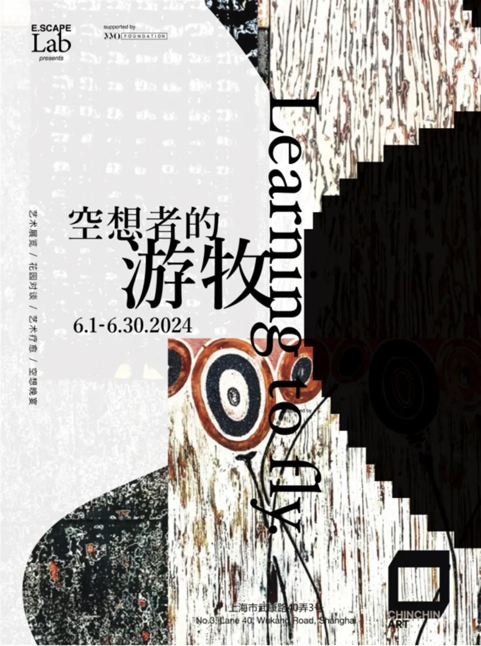 上海市中心這盆荷花一定是下一個爆火機位!