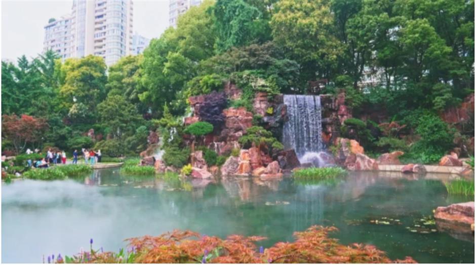 上海市中心也有山湖秀美!满目绿意带来夏日清凉~
