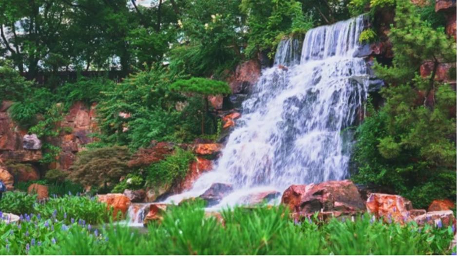 上海市中心也有山湖秀美!满目绿意带来夏日清凉~