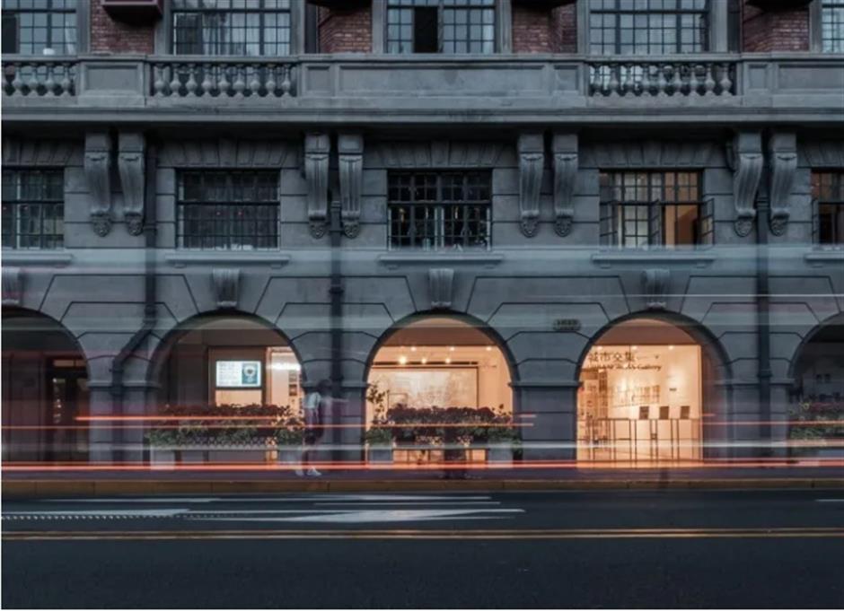 上海市中心這盆荷花一定是下一個爆火機位!