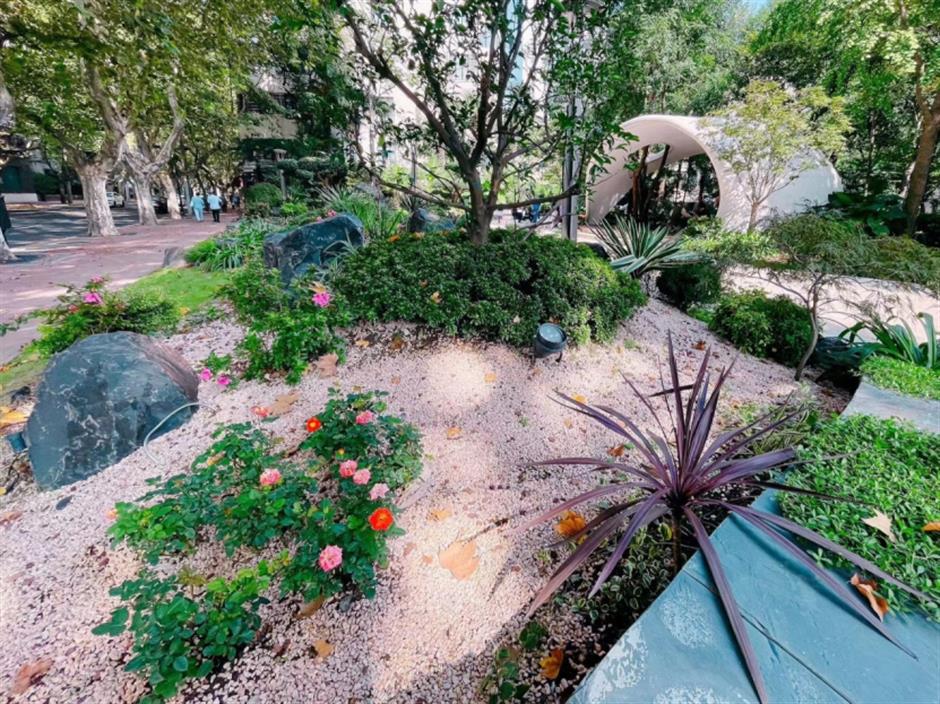 梧桐树下的百种风味,感受潮流与烟火气并存