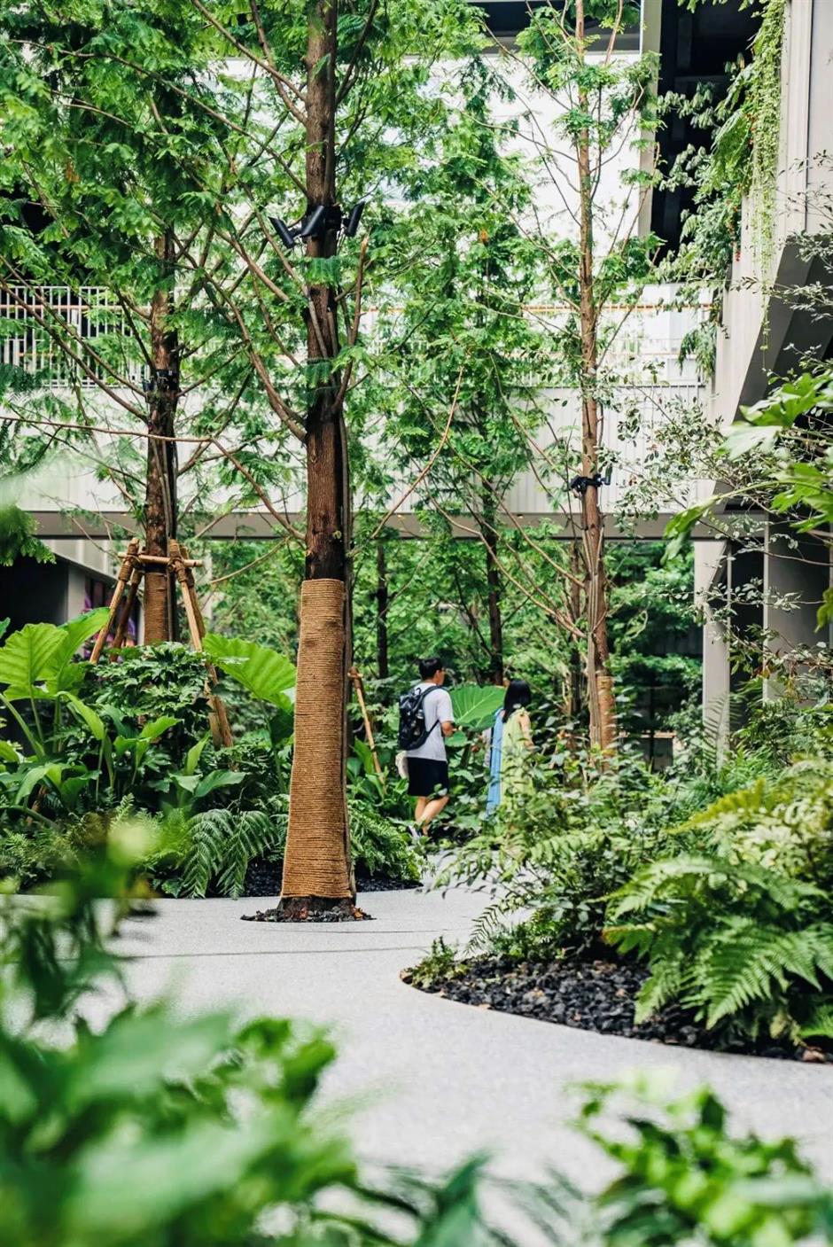 上海市中心又多了一片