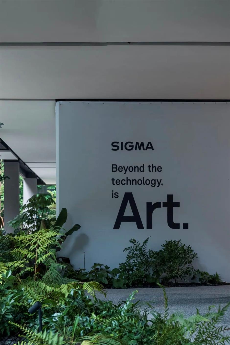 上海市中心又多了一片