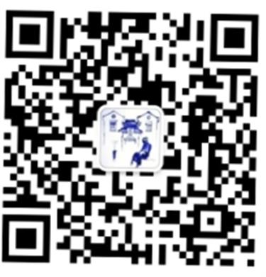 全部免费!上海最时髦的草坪音乐会要来了