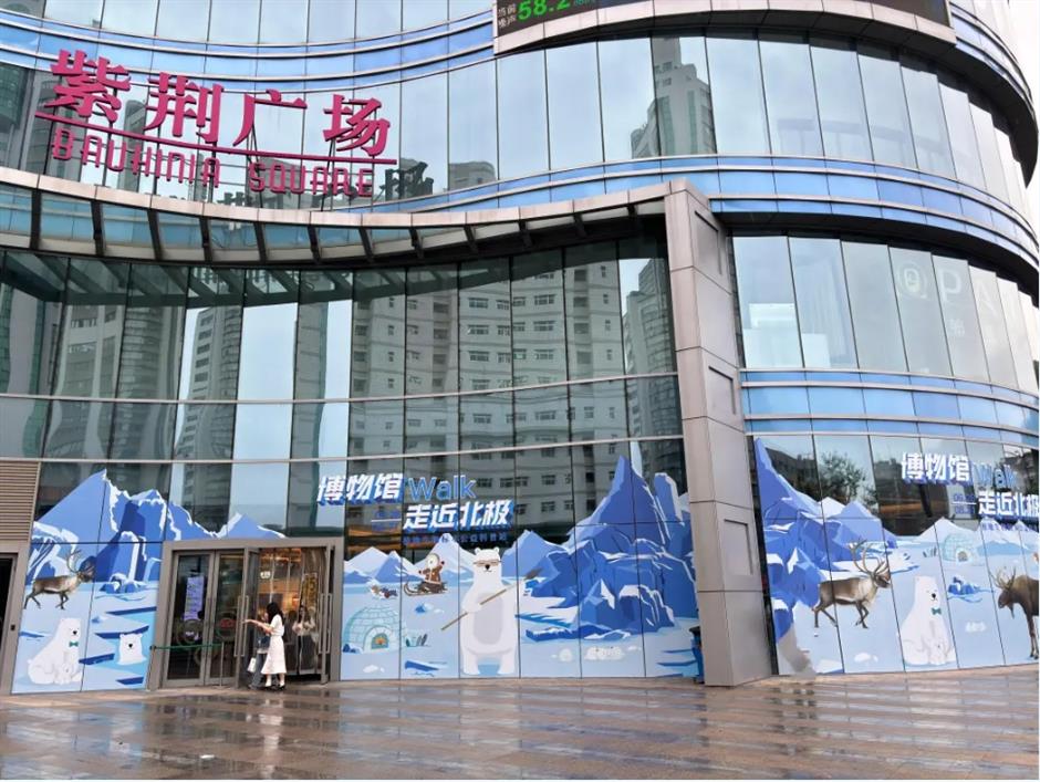 上海這個商場竟然把北極熊和它的夥伴們搬來了!