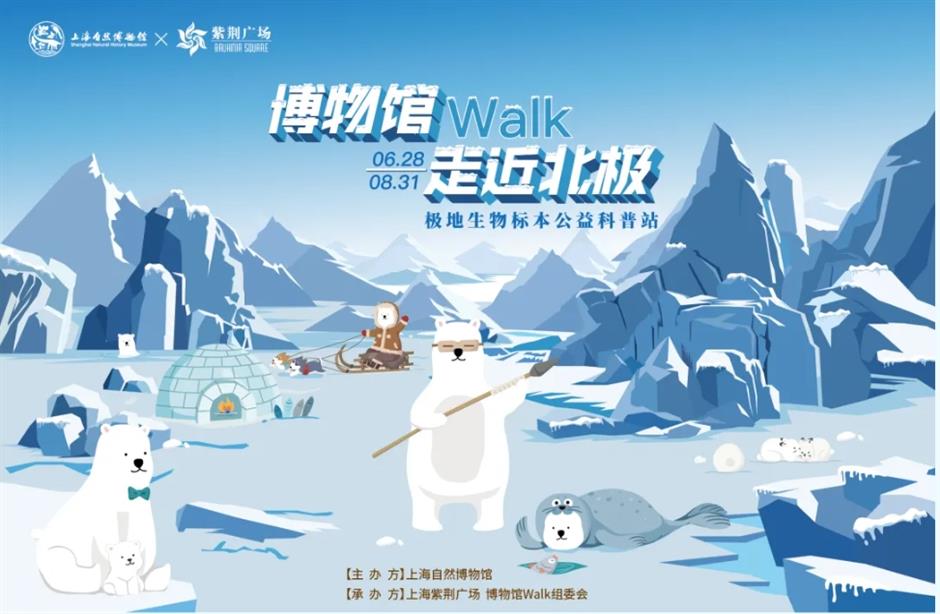 上海這個商場竟然把北極熊和它的夥伴們搬來了!