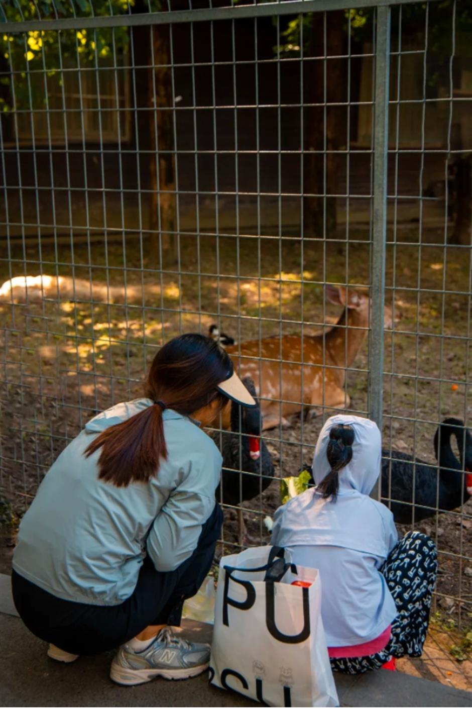 不是奈良去不起,是上海這個免費公園更有性價比!