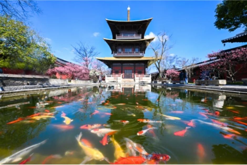 广富林文化遗址——