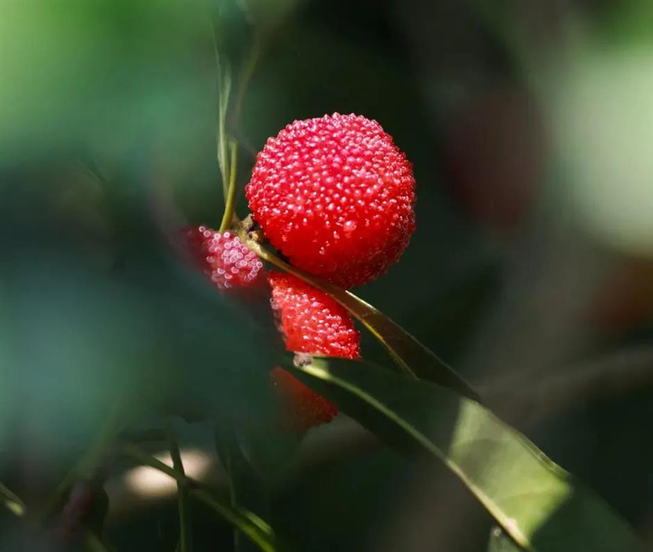 这里美成了如诗如画的