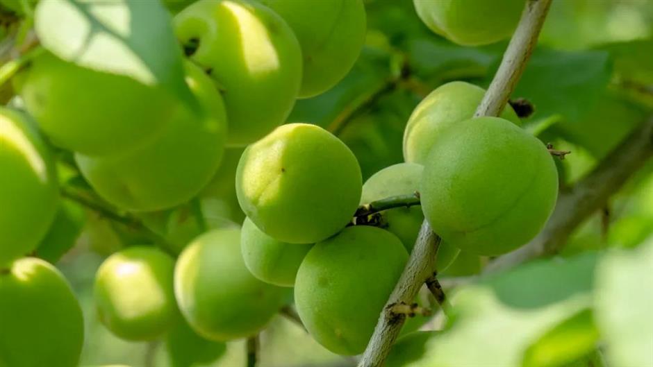 这里美成了如诗如画的