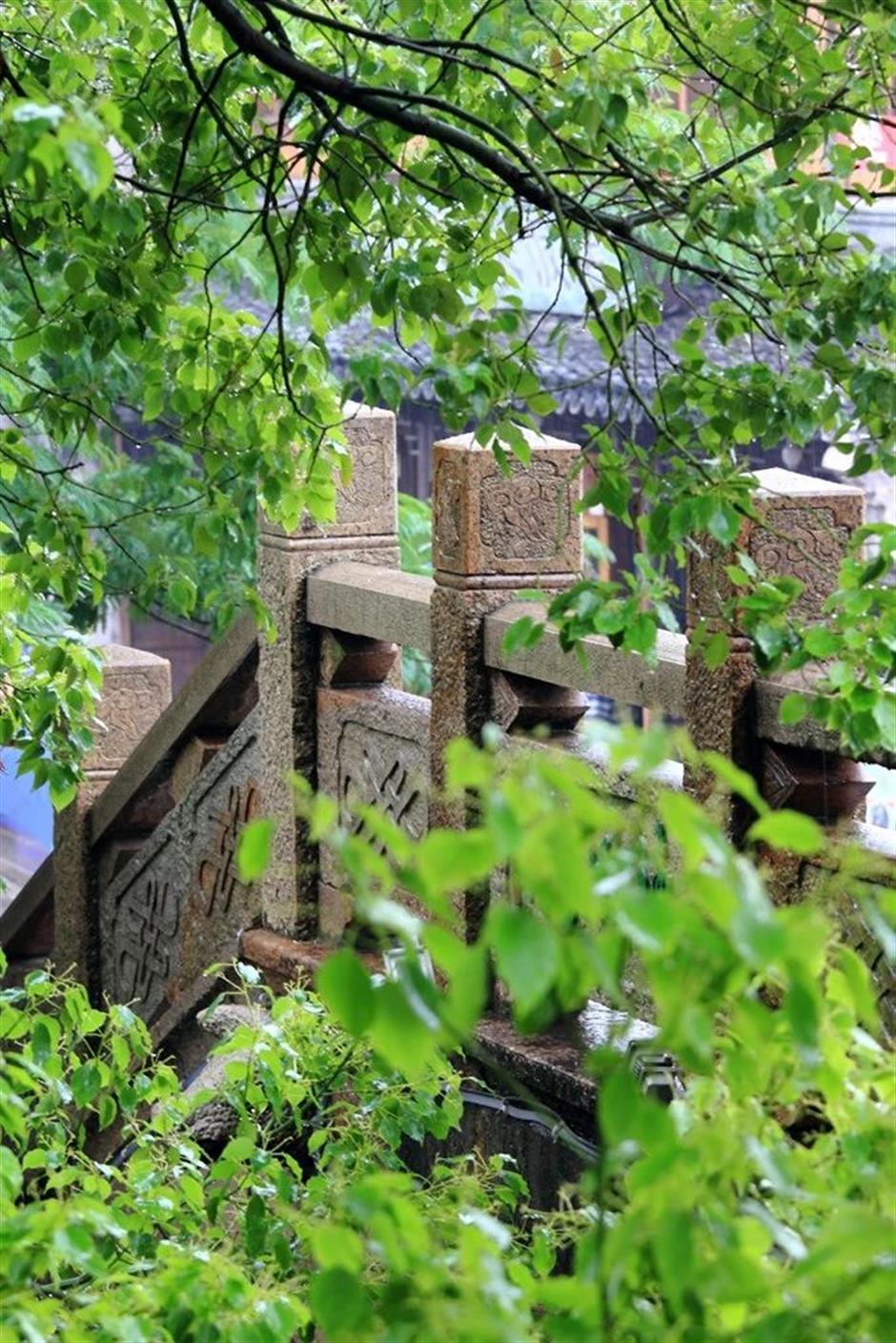 这里美成了如诗如画的