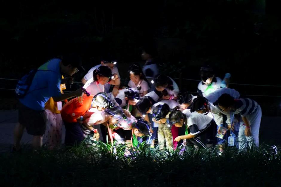 开启夜游,上海这些公园花头多