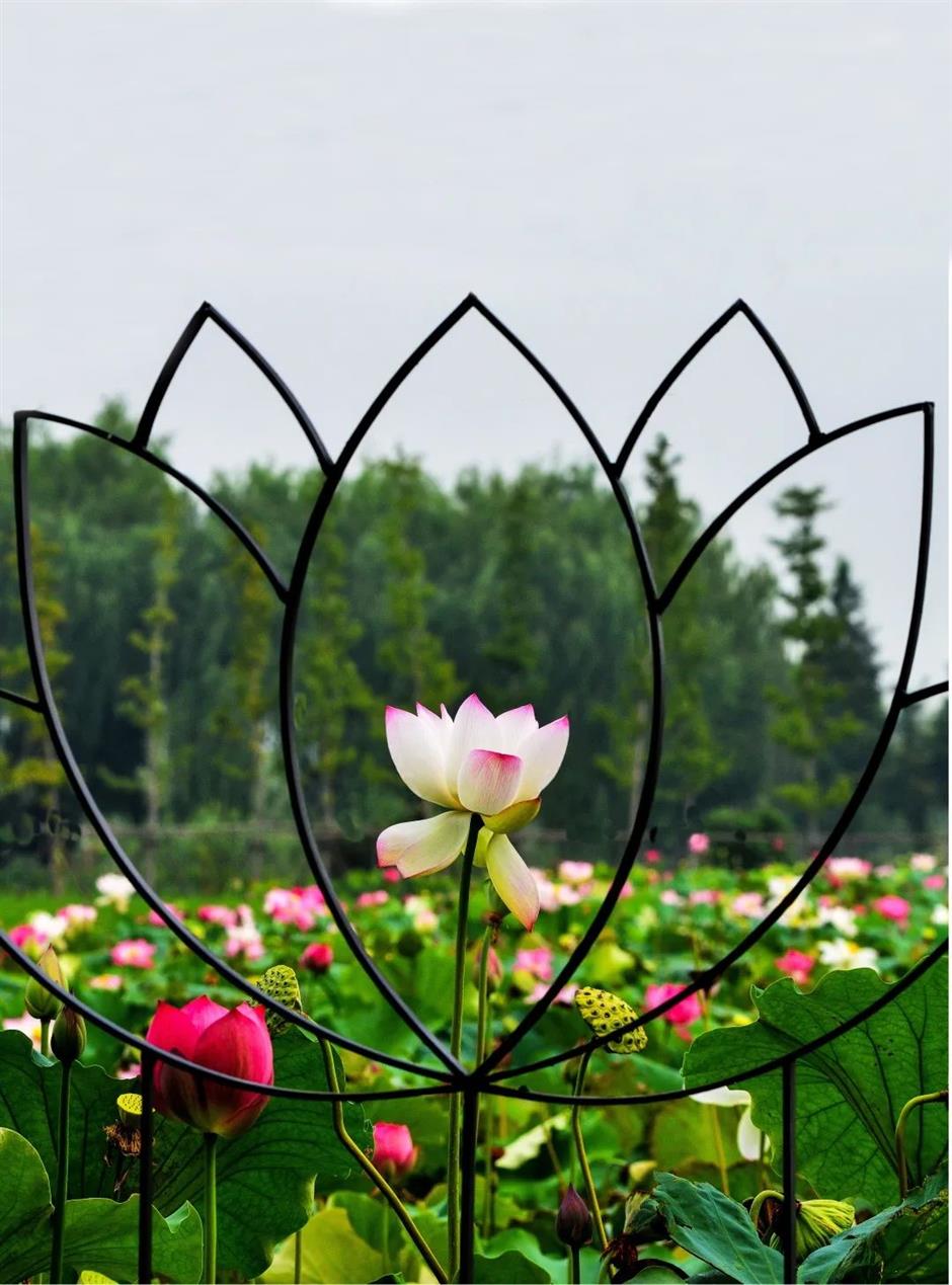 凭美貌出圈!快来