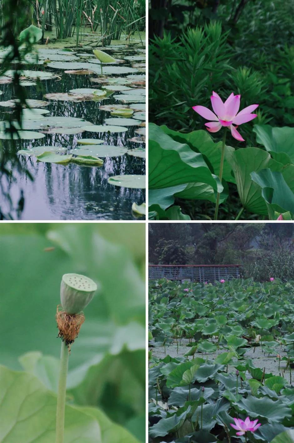 凭美貌出圈!快来