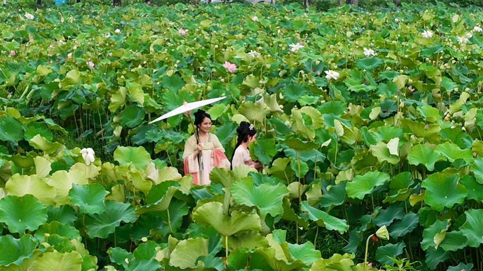 凭美貌出圈!快来