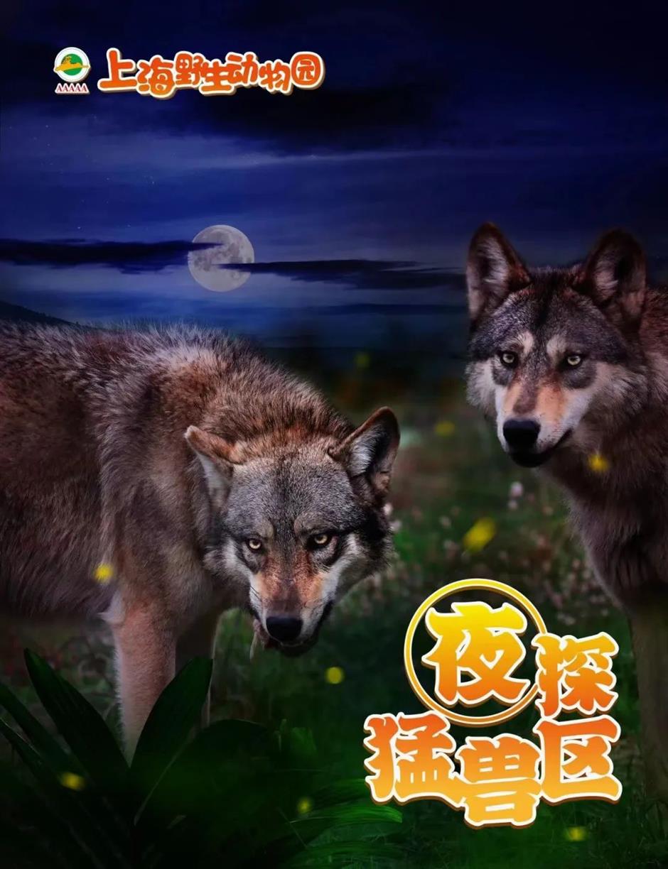 开启夜游,上海这些公园花头多