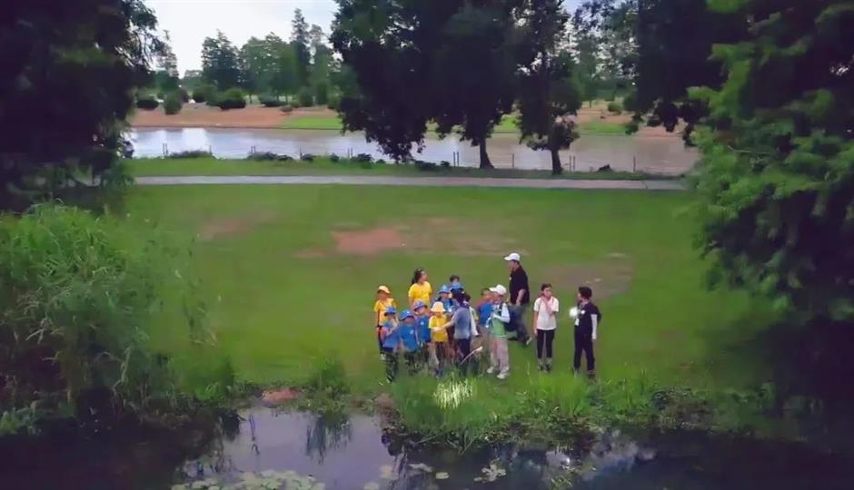 开启夜游,上海这些公园花头多