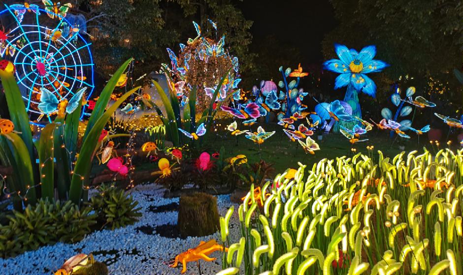 开启夜游,上海这些公园花头多