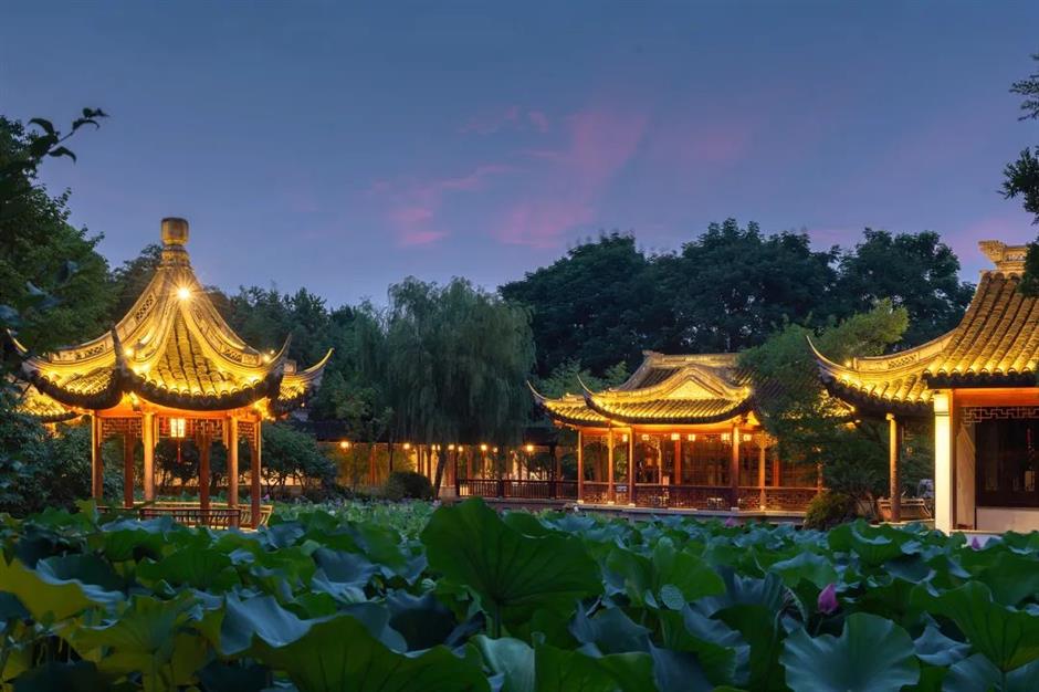 上海荷花睡莲展明起对公众开放