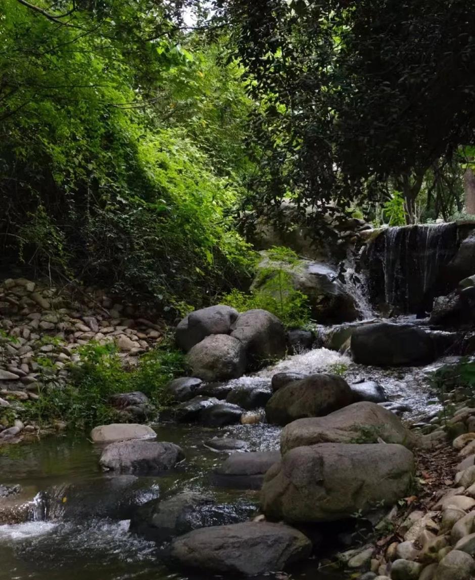 夏日清凉,这些玩水地正在上海市中心!