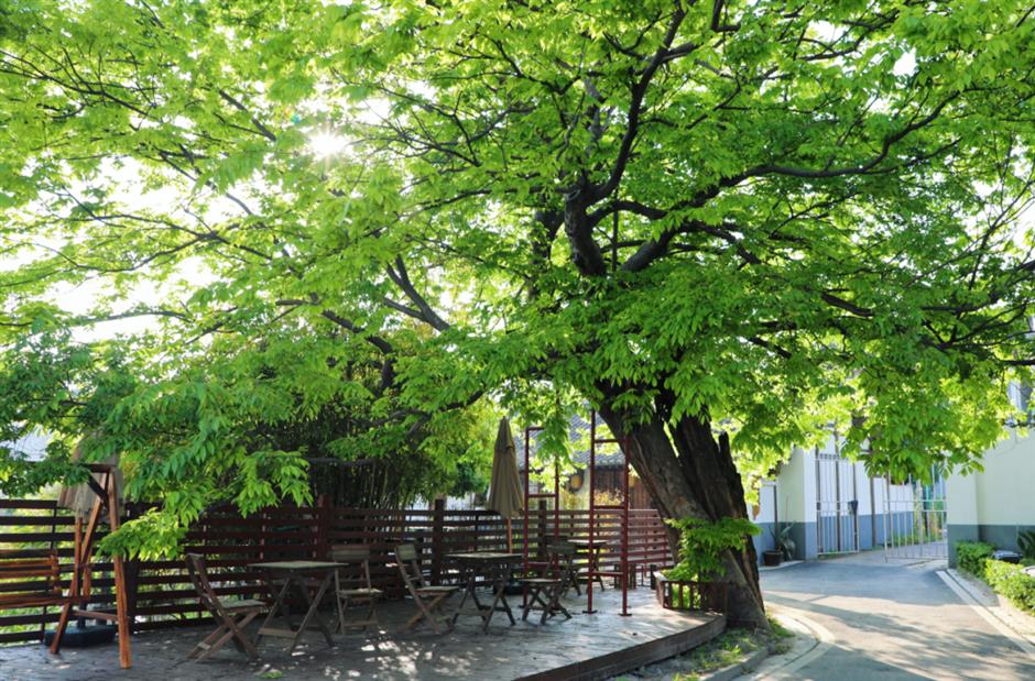 第二批上海市级乡村旅游重点村名单公布