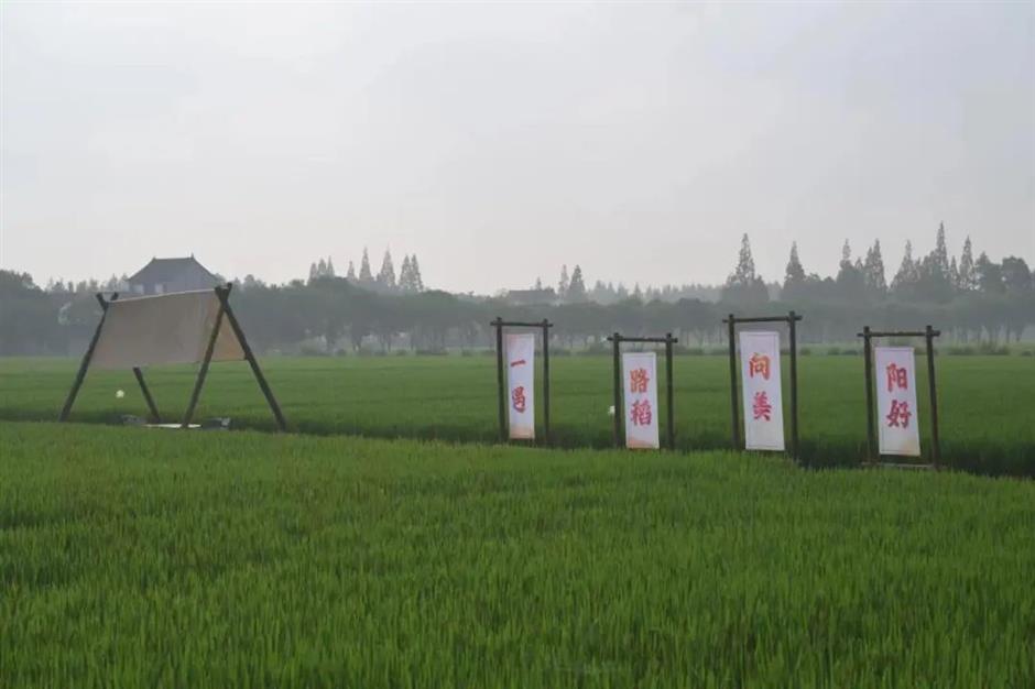 第二批上海市级乡村旅游重点村名单公布