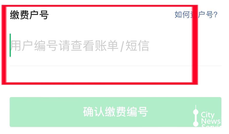 Tips for online utility bill payment in Shanghai