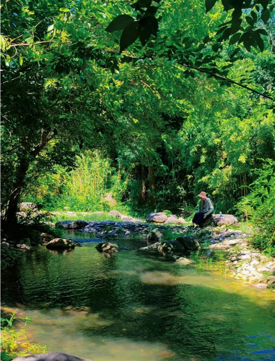 冷门避暑好去处,竹林秘境觅清凉