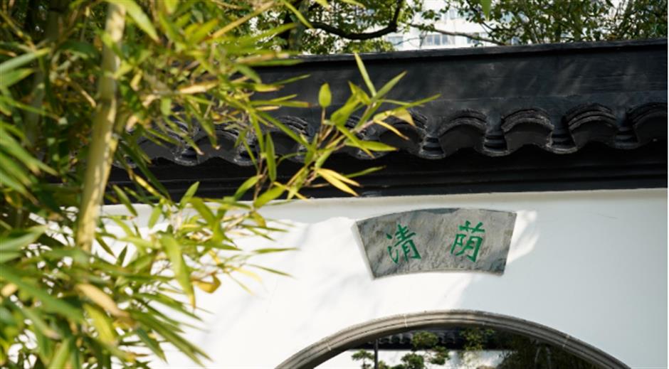 冷门避暑好去处,竹林秘境觅清凉