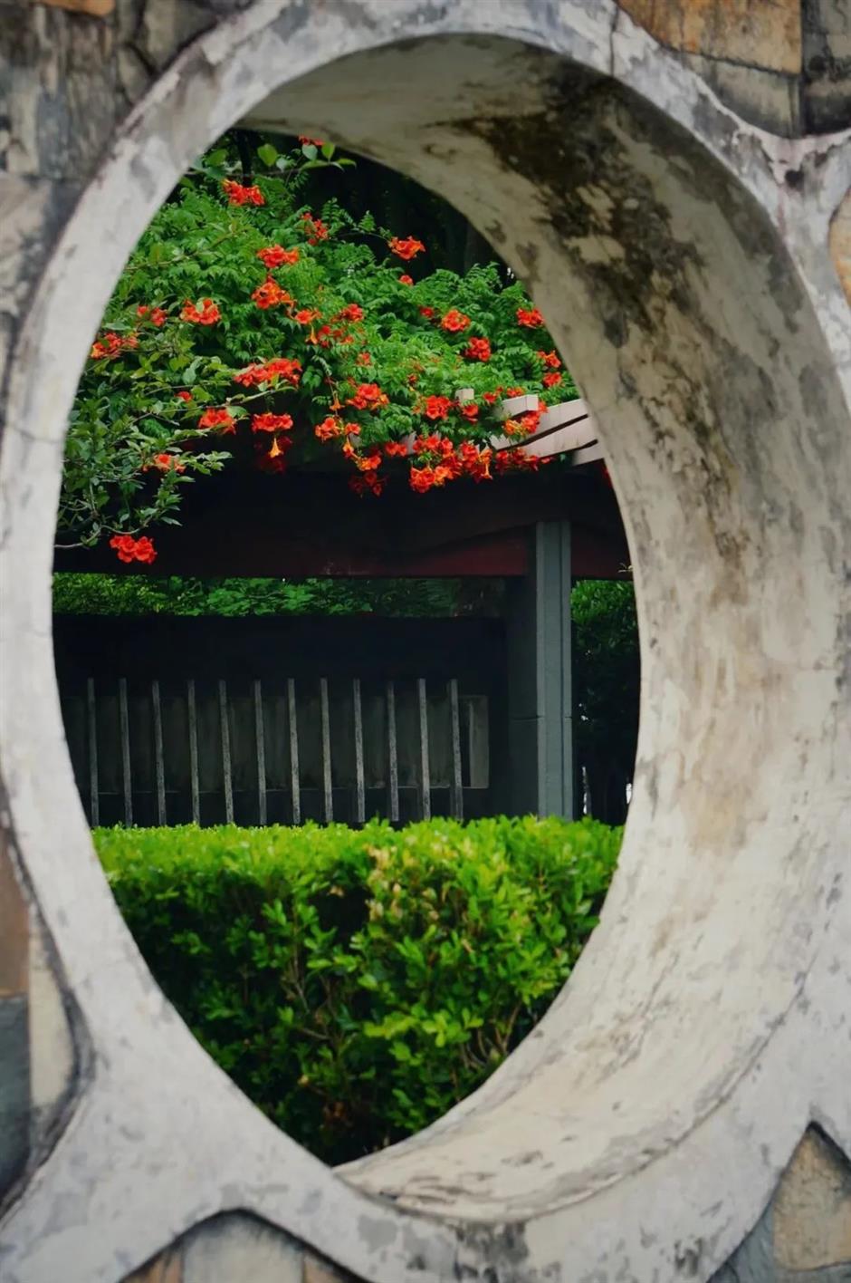 夏日绚烂的橙红色花海,在上海这些免费公园热烈绽放!