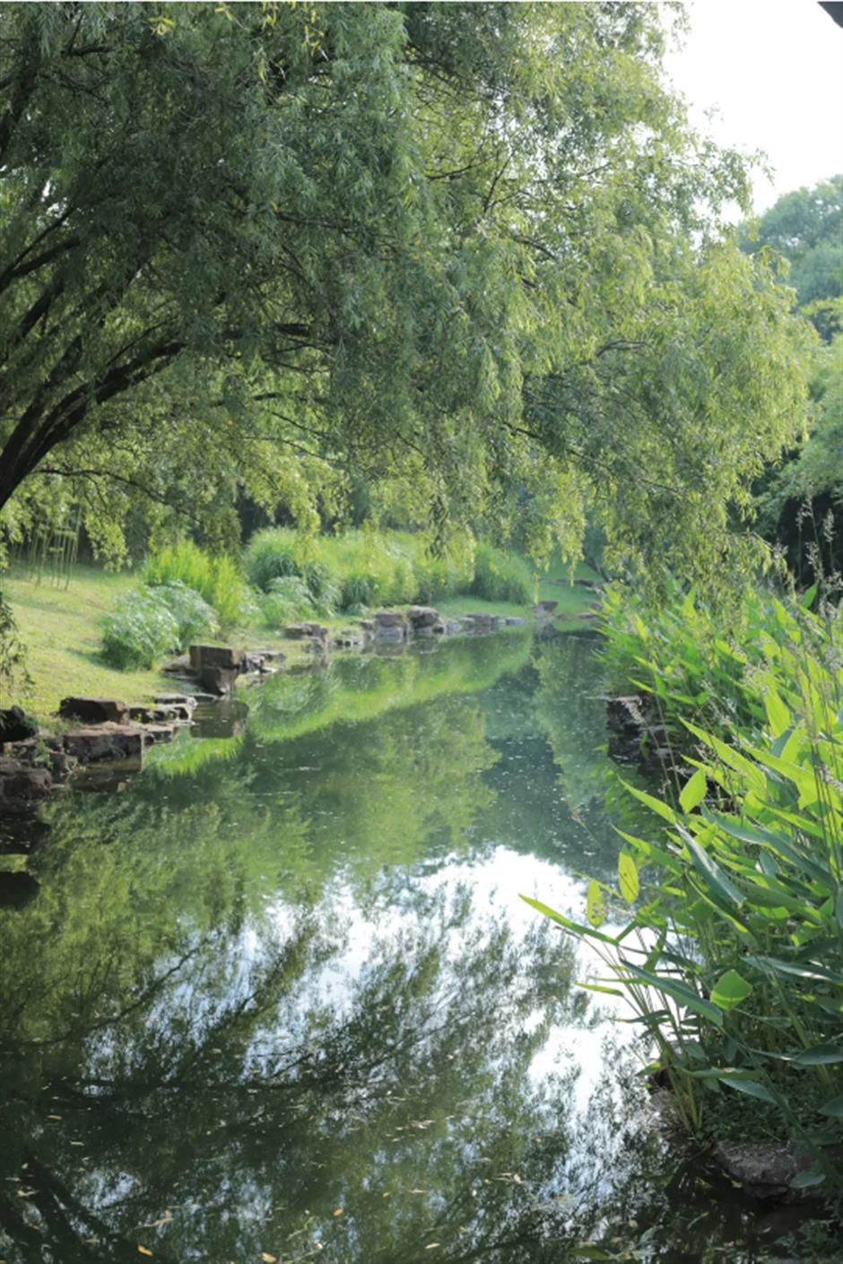 冷门避暑好去处,竹林秘境觅清凉